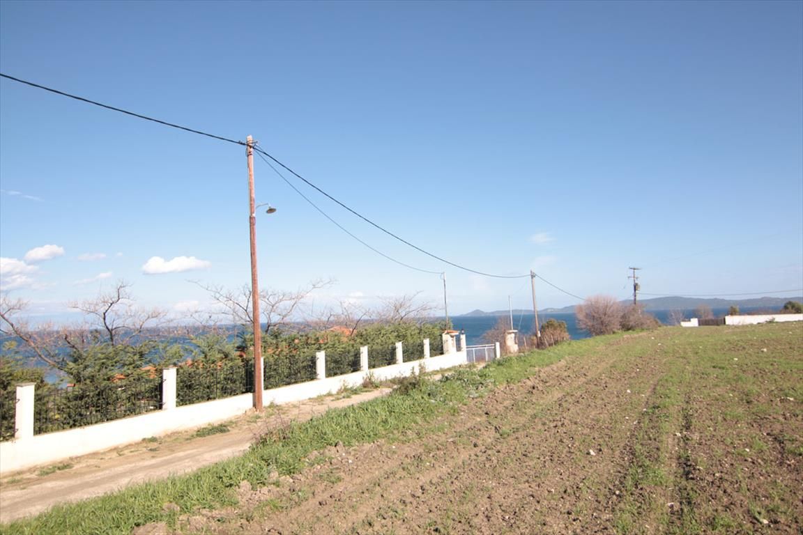 Land on Mount Athos, Greece, 4 200 sq.m - picture 1