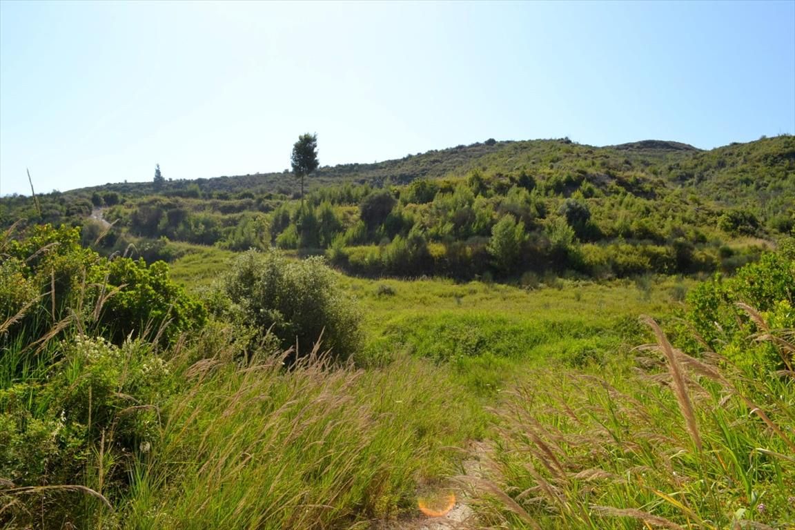 Land in Kassandra, Greece, 11 142 sq.m - picture 1