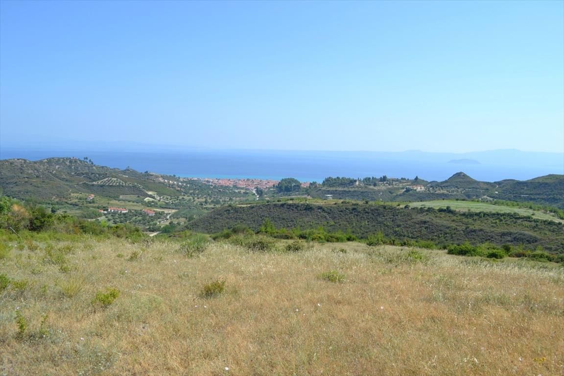 Land in Kassandra, Greece, 7 378 sq.m - picture 1