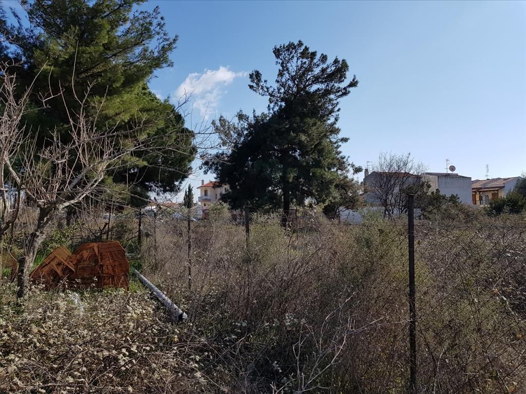 Grundstück in Sithonia, Griechenland, 330 m2 - Foto 1