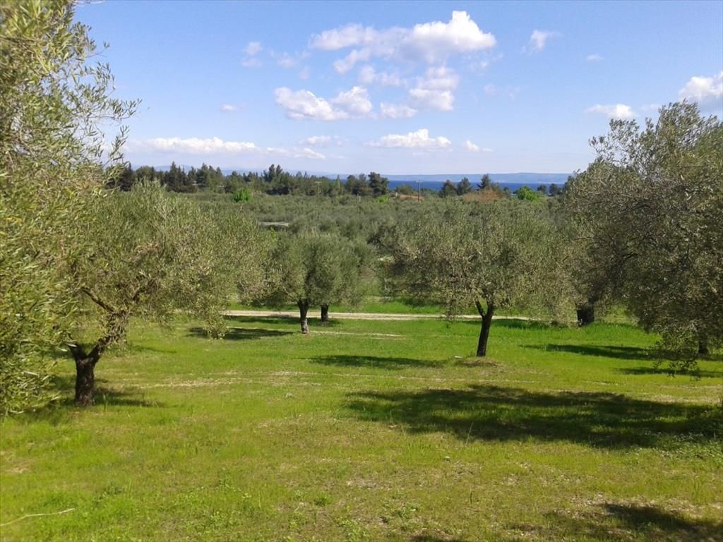 Land in Kassandra, Greece, 4 010 sq.m - picture 1