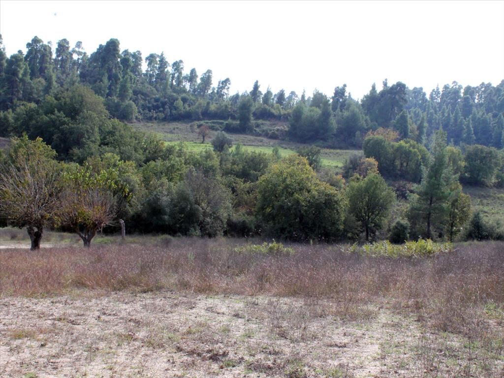 Land in Kassandra, Greece, 6 750 sq.m - picture 1