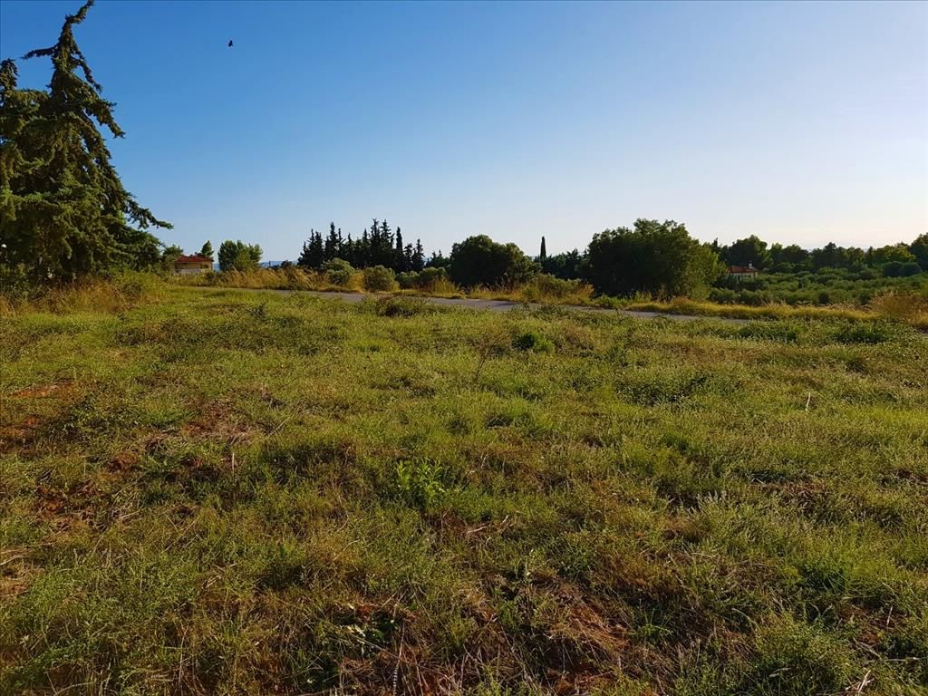 Grundstück in Sithonia, Griechenland, 2 609 m2 - Foto 1