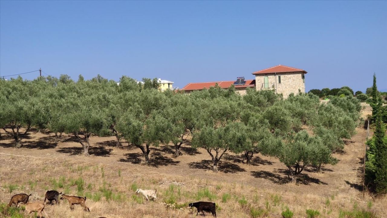 Grundstück in Sithonia, Griechenland, 2 700 m2 - Foto 1