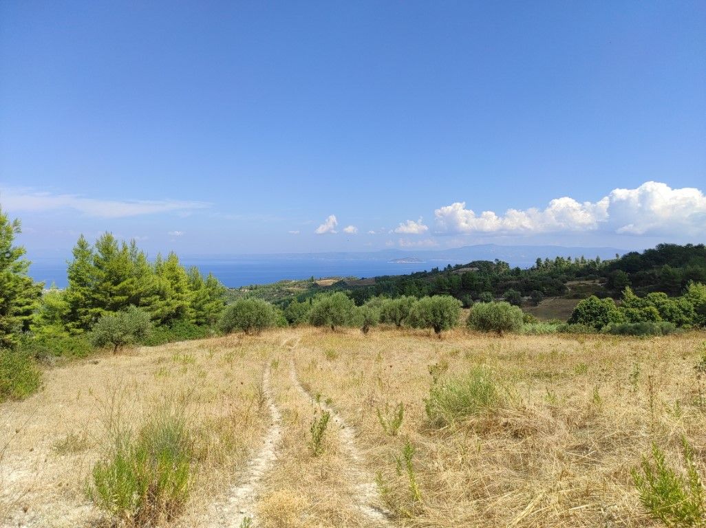 Grundstück in Kassandra, Griechenland, 3 323 m2 - Foto 1