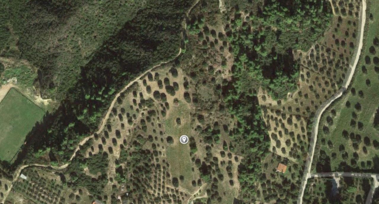 Land in Kassandra, Greece, 9 854 sq.m - picture 1