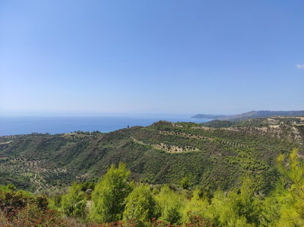 Land in Kassandra, Greece, 24 215 sq.m - picture 1