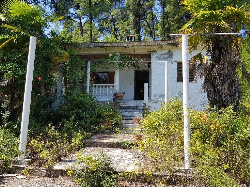 Haus in Kassandra, Griechenland, 70 m2 - Foto 1
