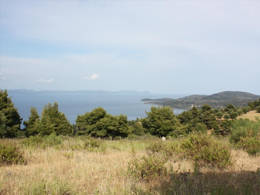 Land in Kassandra, Greece, 4 600 sq.m - picture 1