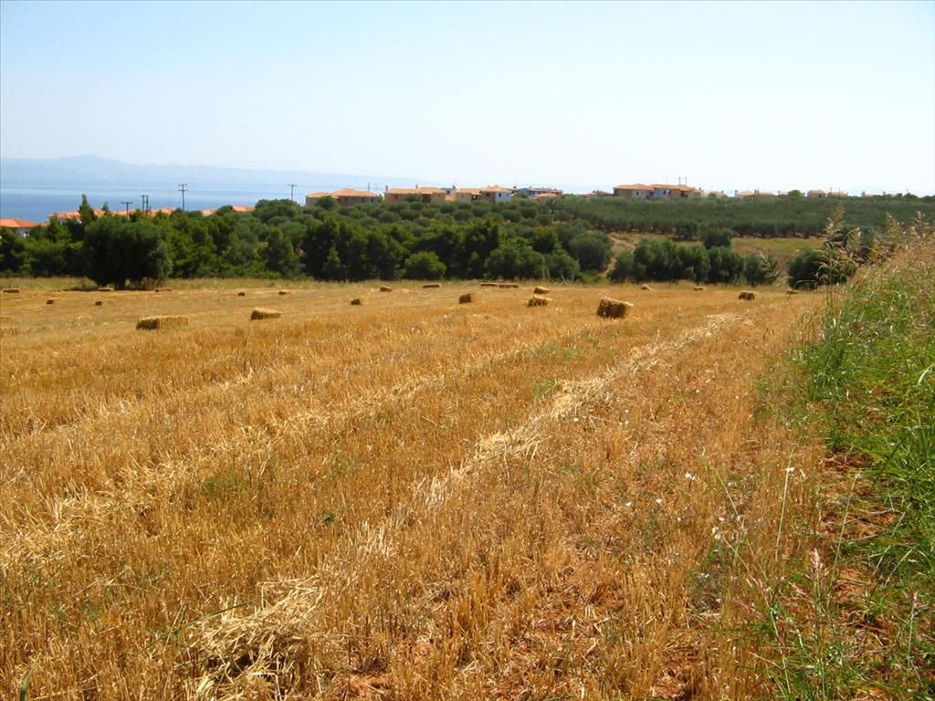 Land in Kassandra, Greece, 12 115 sq.m - picture 1