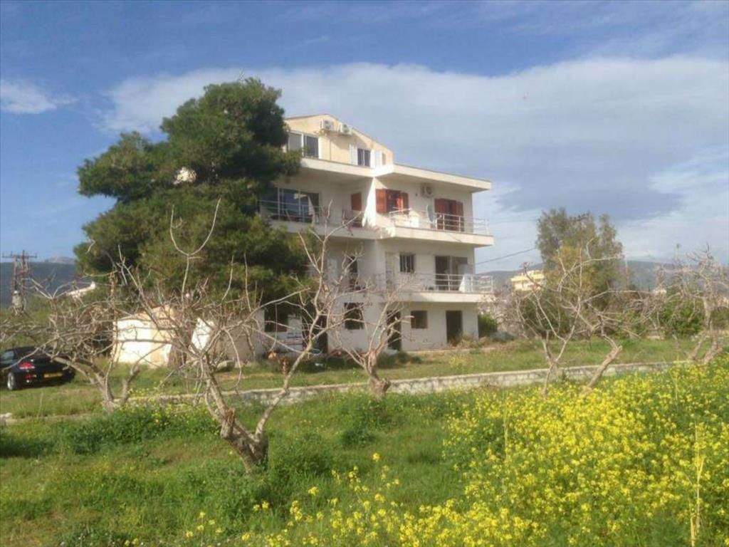 Commercial property in Attica, Greece, 500 sq.m - picture 1