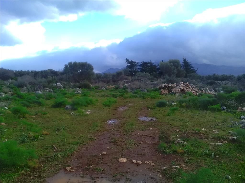 Terreno en La Canea, Grecia, 4 050 m2 - imagen 1