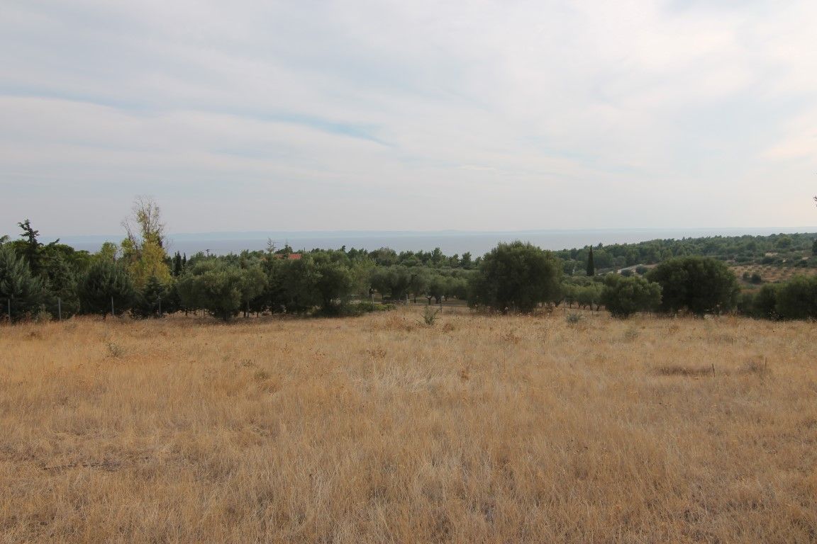 Land in Sithonia, Greece, 6 500 sq.m - picture 1