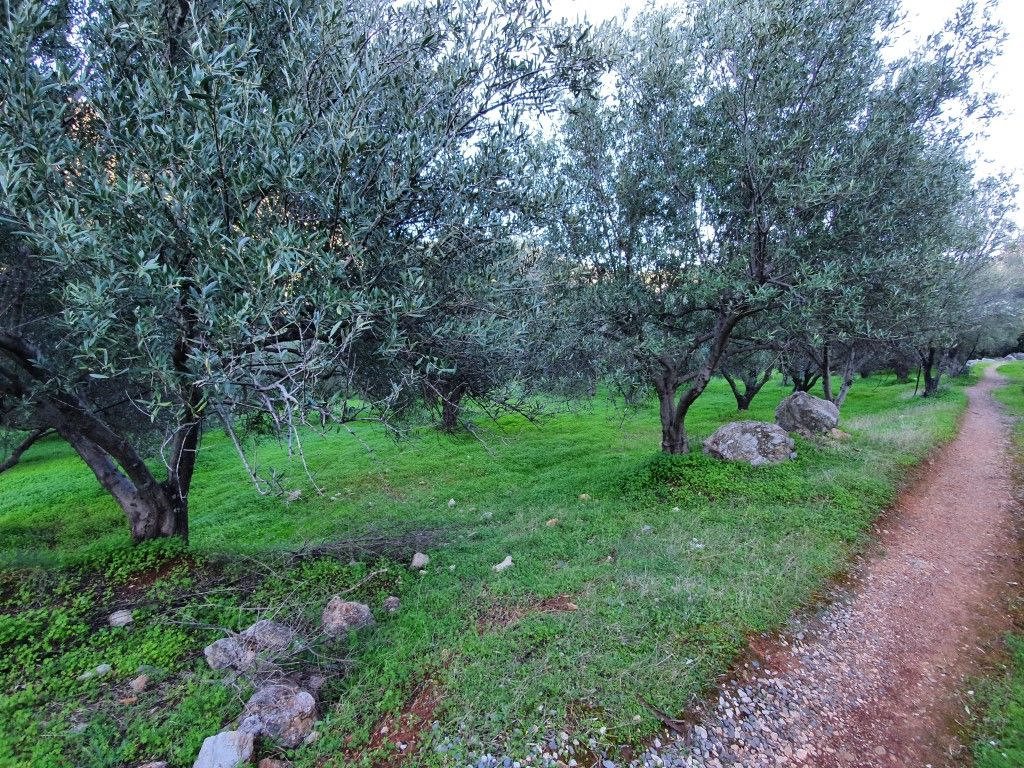 Land in Lasithi, Greece, 9 000 sq.m - picture 1