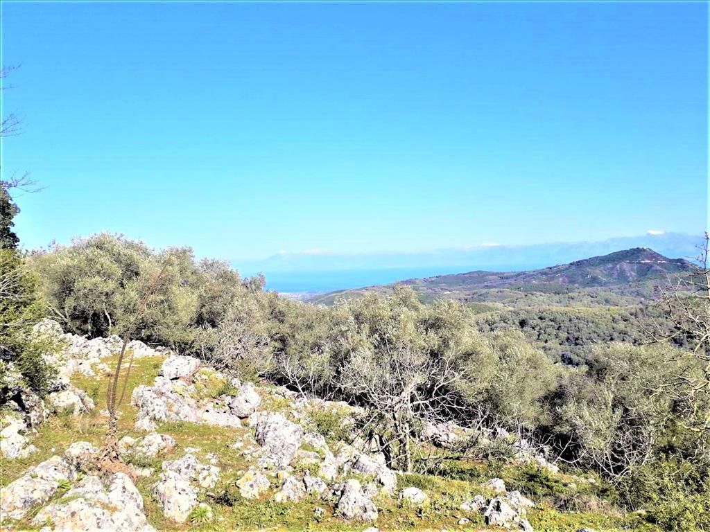 Land in Corfu, Greece, 8 000 sq.m - picture 1