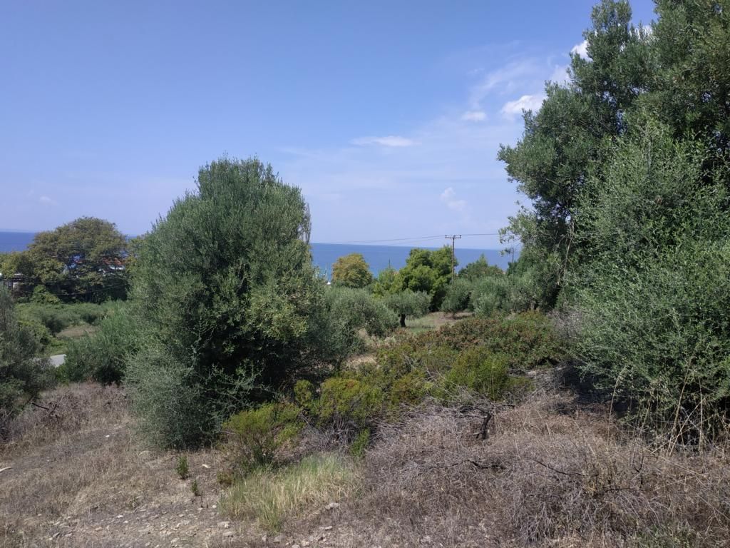 Land in Sithonia, Greece, 2 150 sq.m - picture 1