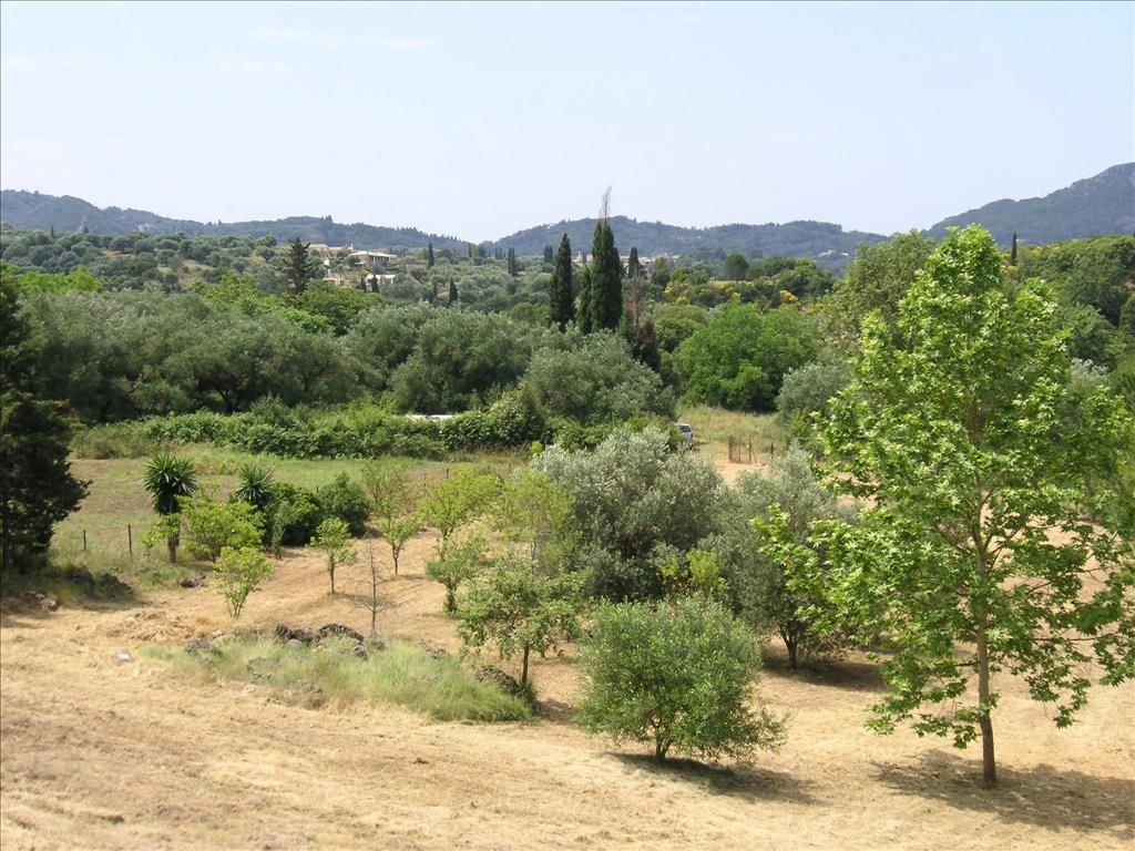 Land in Corfu, Greece, 4 000 sq.m - picture 1
