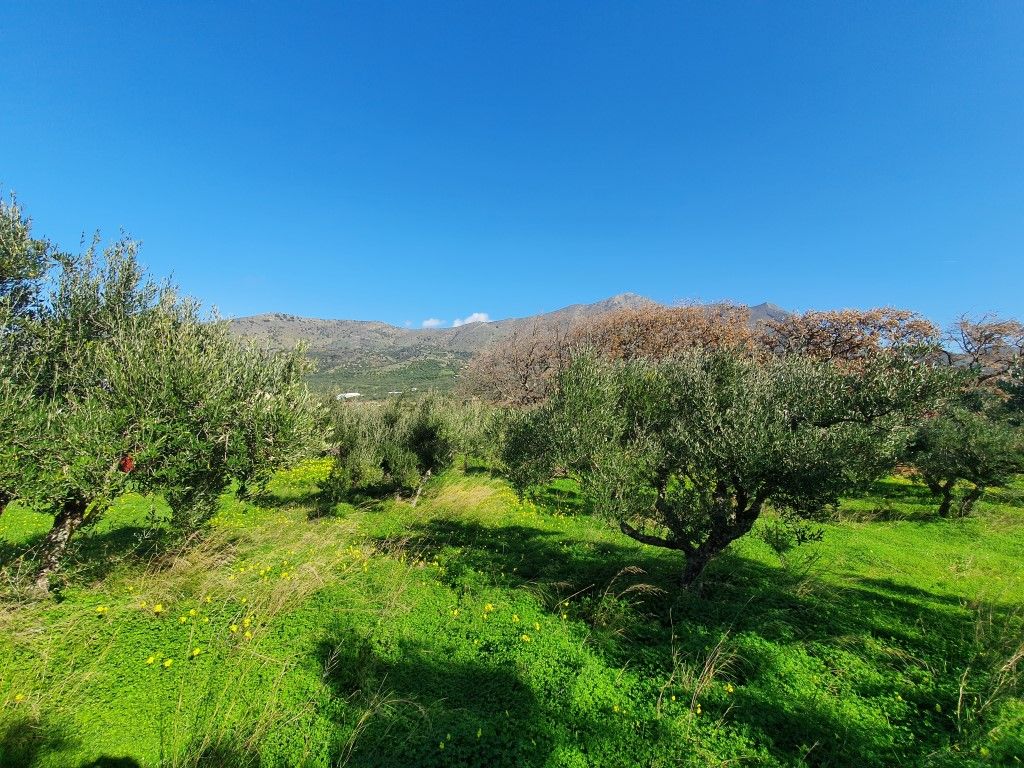 Land in Milatos, Greece, 2 881 sq.m - picture 1