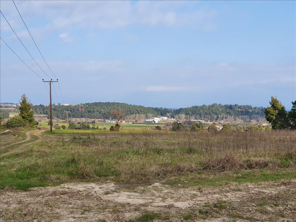 Land in Kassandra, Greece, 4 500 sq.m - picture 1