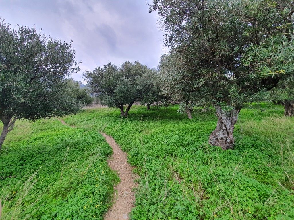 Land in Milatos, Greece, 573 sq.m - picture 1