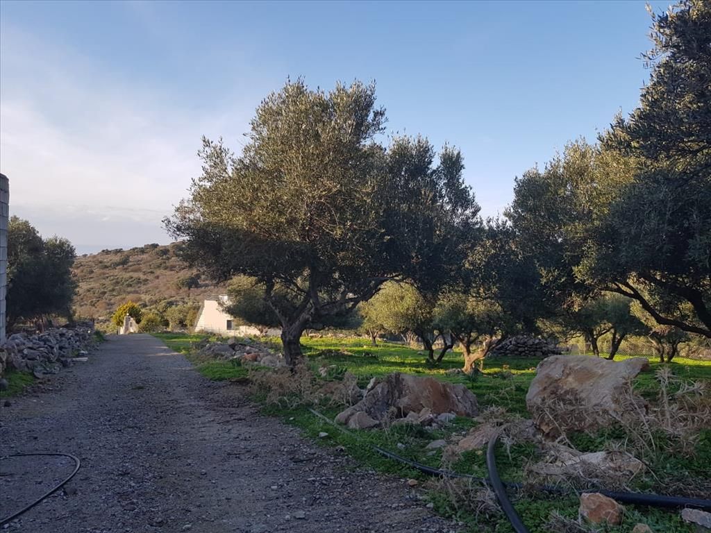 Land in Milatos, Greece, 661 sq.m - picture 1