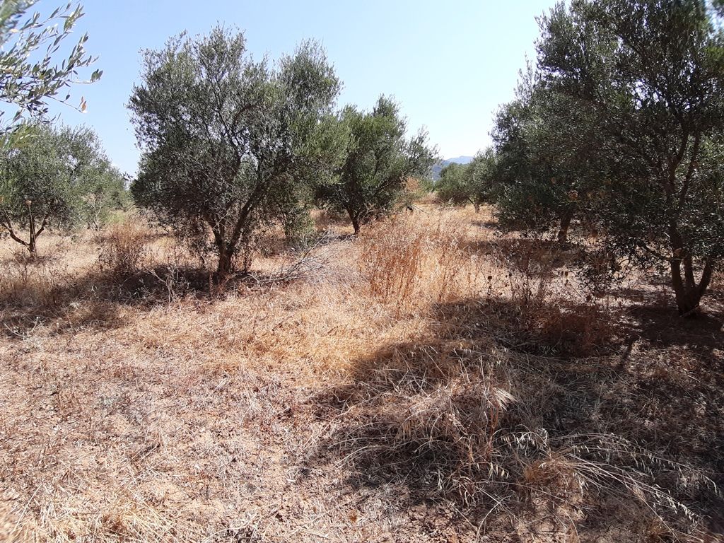 Land in Analipsi, Greece, 2 250 sq.m - picture 1