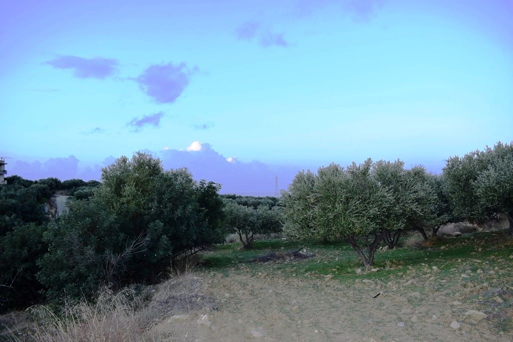 Land in Analipsi, Greece, 1 417 sq.m - picture 1