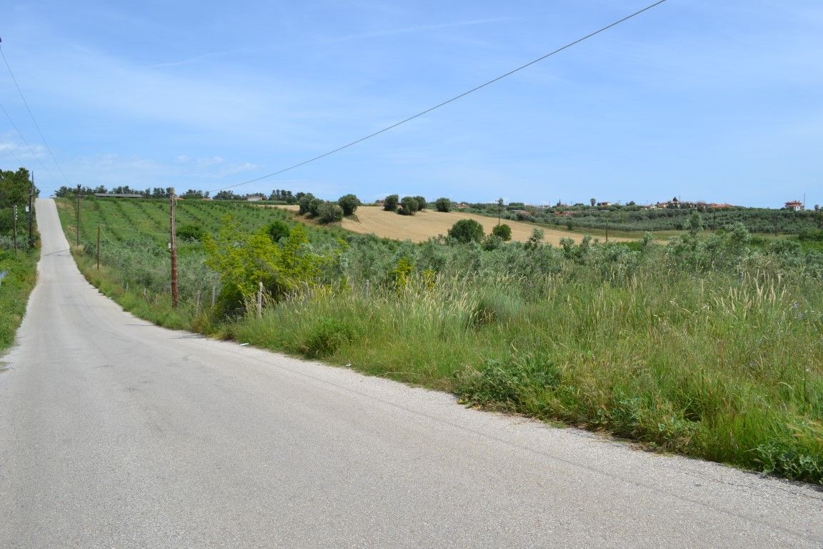 Land in Kassandra, Greece, 4 600 sq.m - picture 1