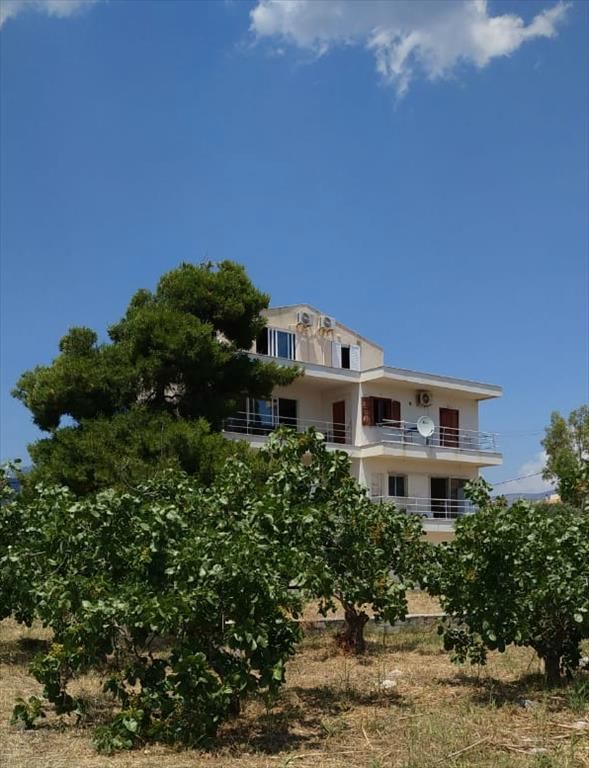 Commercial property in Attica, Greece, 480 sq.m - picture 1