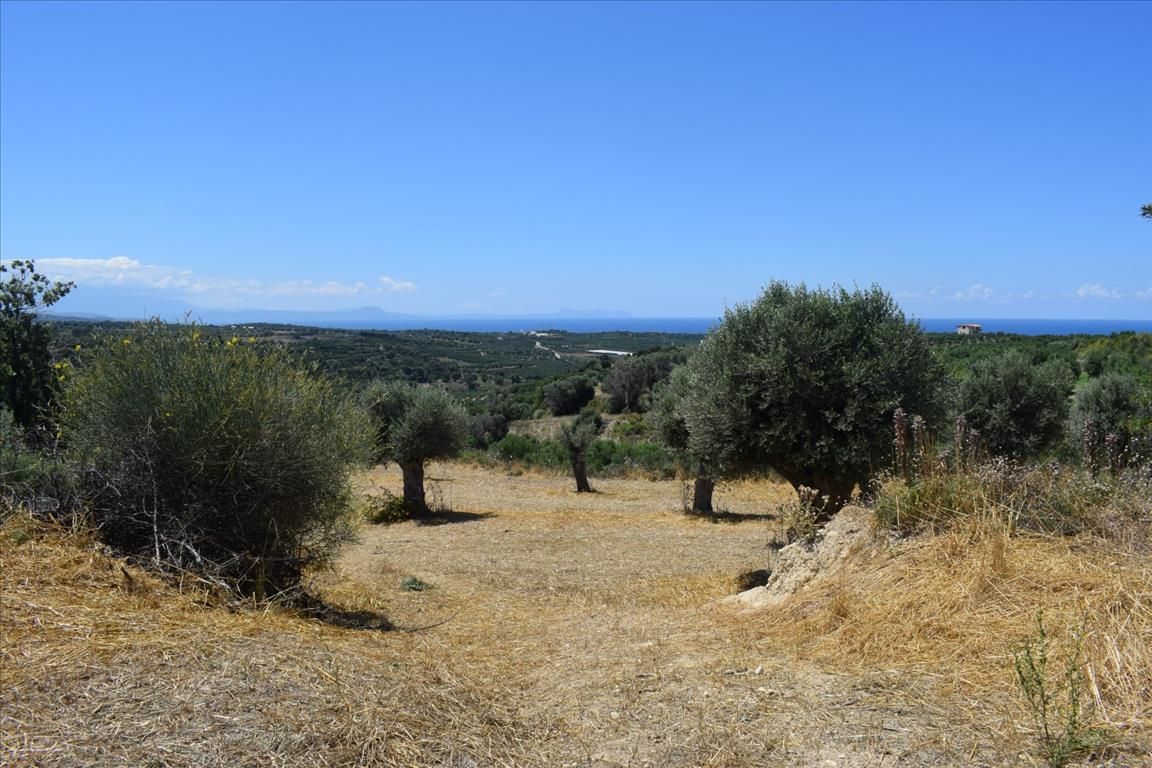 Land in Rethymno prefecture, Greece, 7 000 sq.m - picture 1