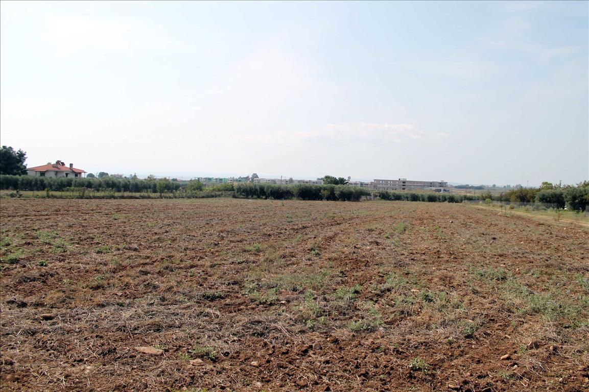 Land in Sithonia, Greece, 800 sq.m - picture 1