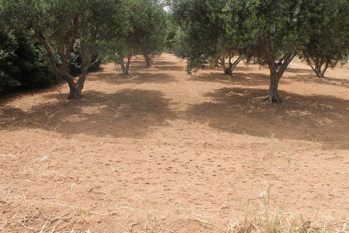 Land in Analipsi, Greece, 600 sq.m - picture 1