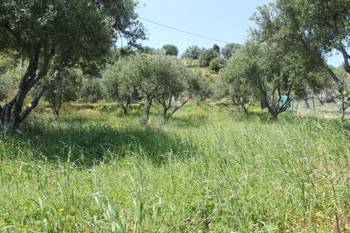 Land in Analipsi, Greece, 798 sq.m - picture 1