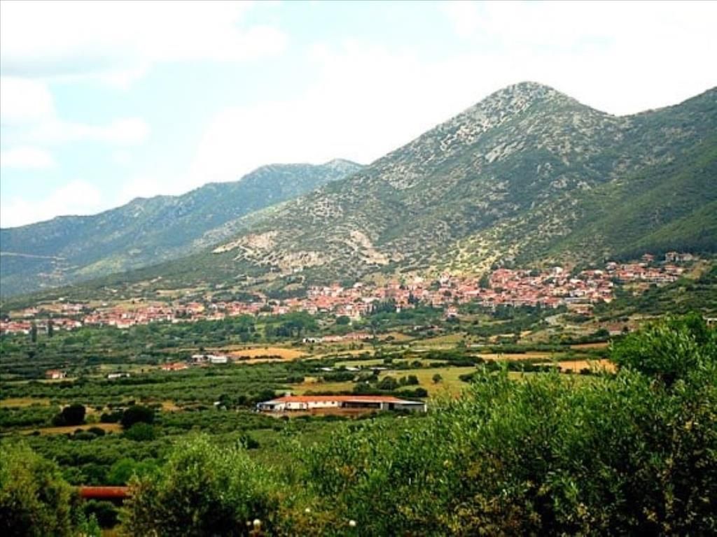 Land in Poligiros, Greece, 5 500 sq.m - picture 1