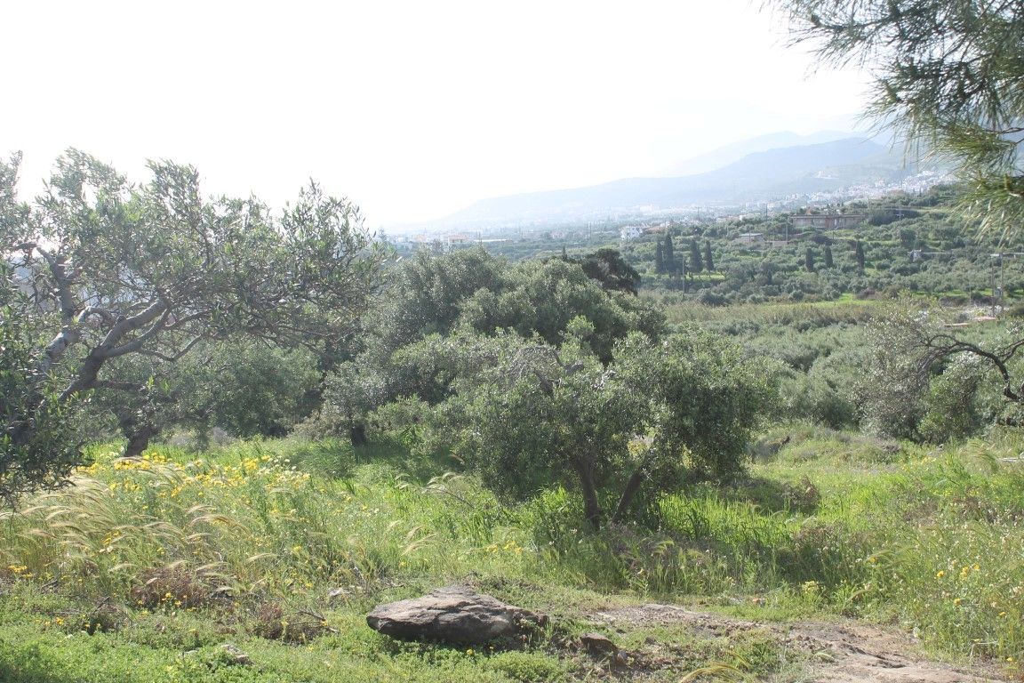 Land in Hersonissos, Greece, 2 400 sq.m - picture 1