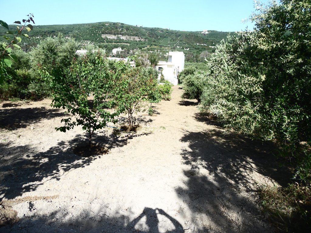 Terrain dans la Préfecture de La Canée, Grèce, 1 400 m2 - image 1