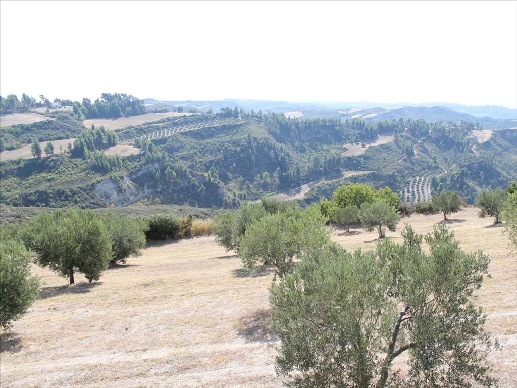 Land in Kassandra, Greece, 10 180 sq.m - picture 1