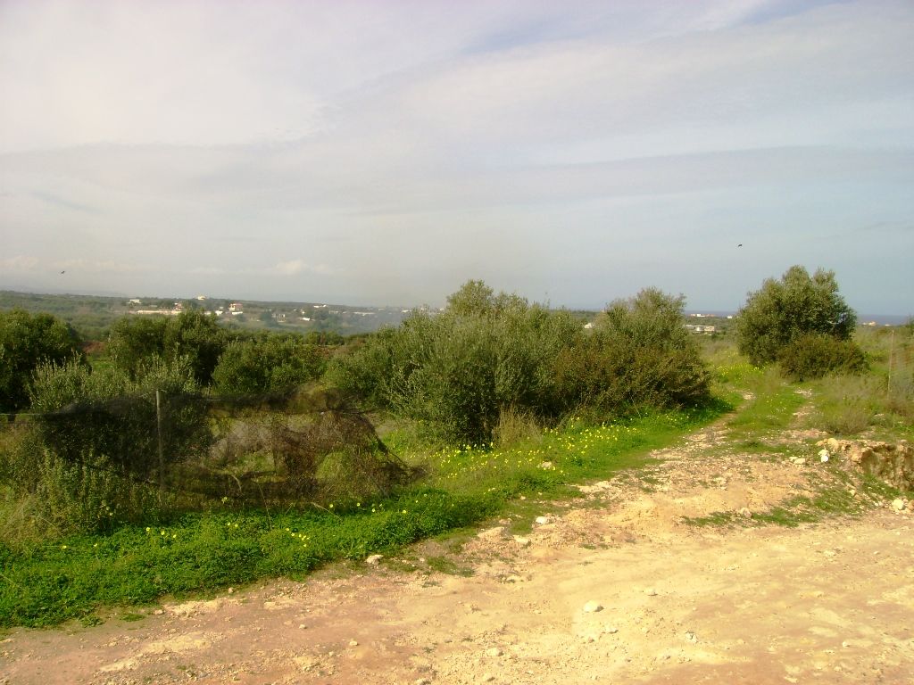 Land in Rethymno, Greece, 4 000 sq.m - picture 1