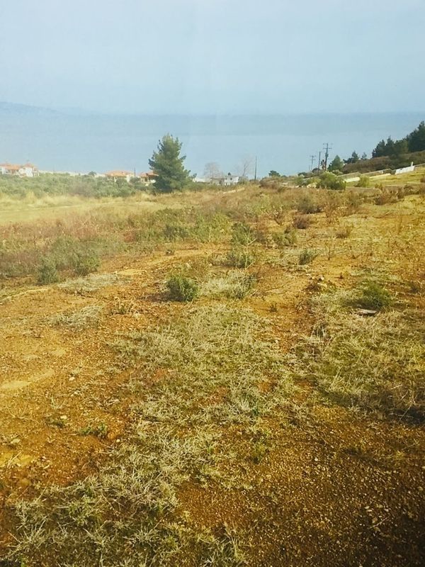 Land in Sithonia, Greece, 4 760 sq.m - picture 1