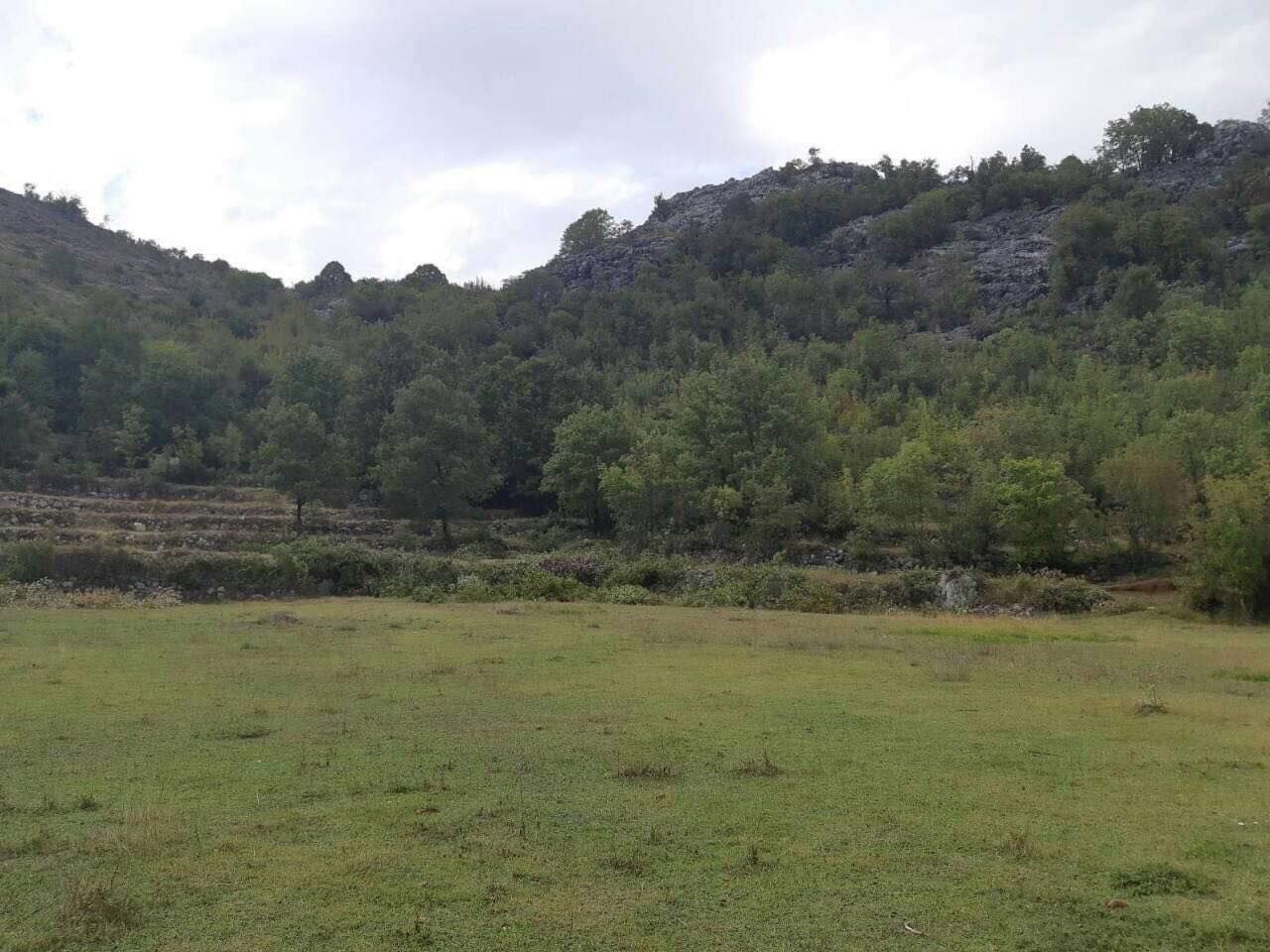 Terrain à Podgorica, Monténégro, 10 000 m2 - image 1
