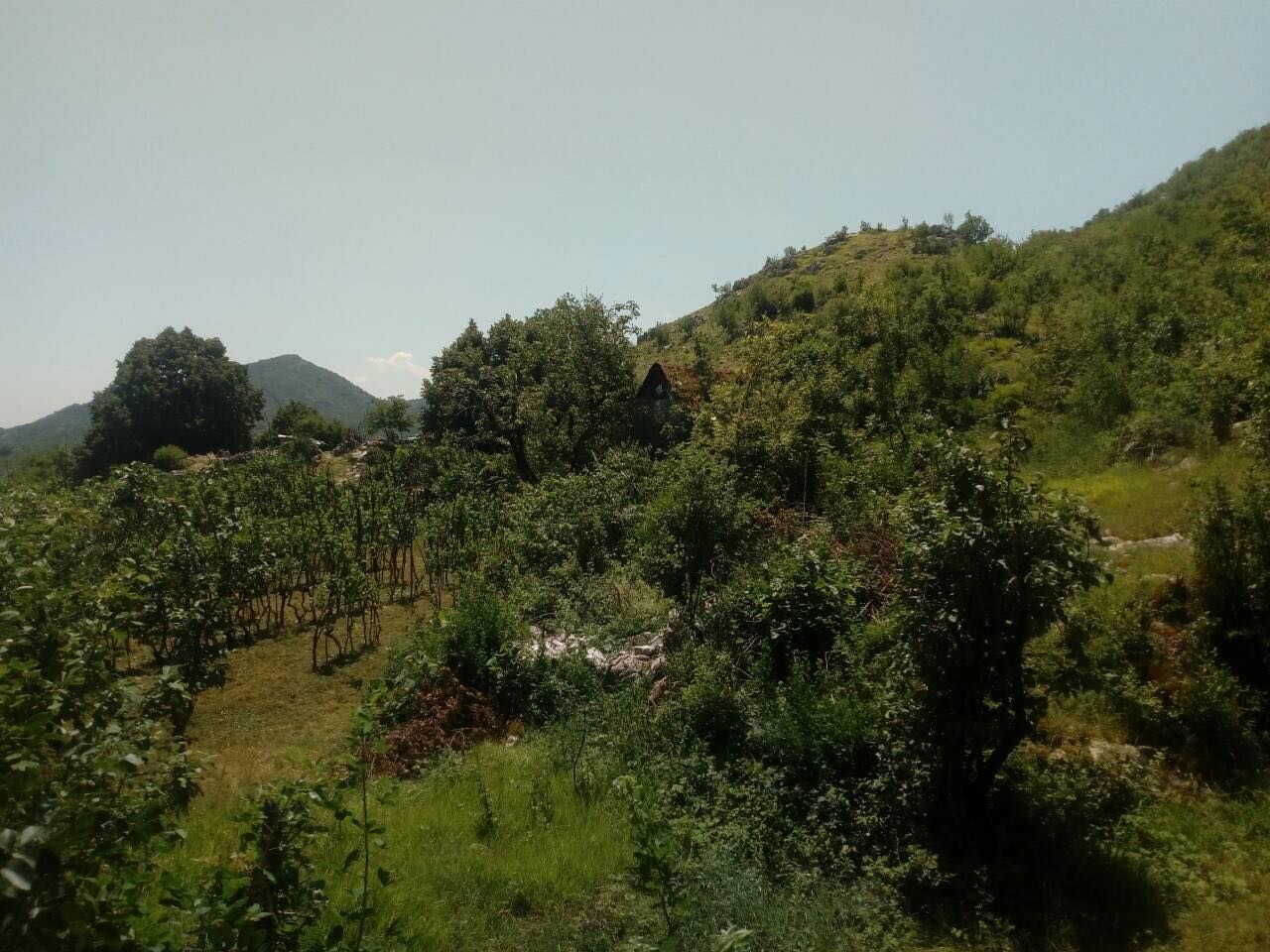 Grundstück in Cetinje, Montenegro, 238 411 m2 - Foto 1