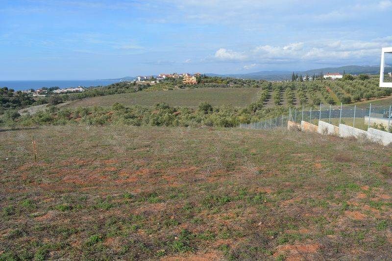 Land in Sithonia, Greece, 3 150 sq.m - picture 1