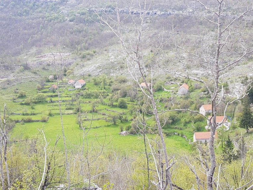 Land in Cetinje, Montenegro, 22 592 sq.m - picture 1