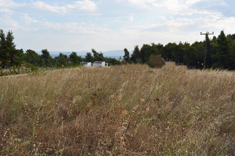 Land in Kassandra, Greece, 358 sq.m - picture 1