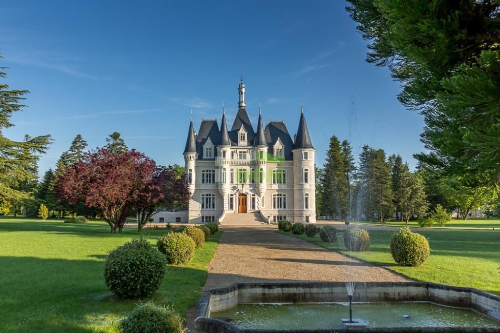 Castle Dolina Luary, France, 900 sq.m - picture 1