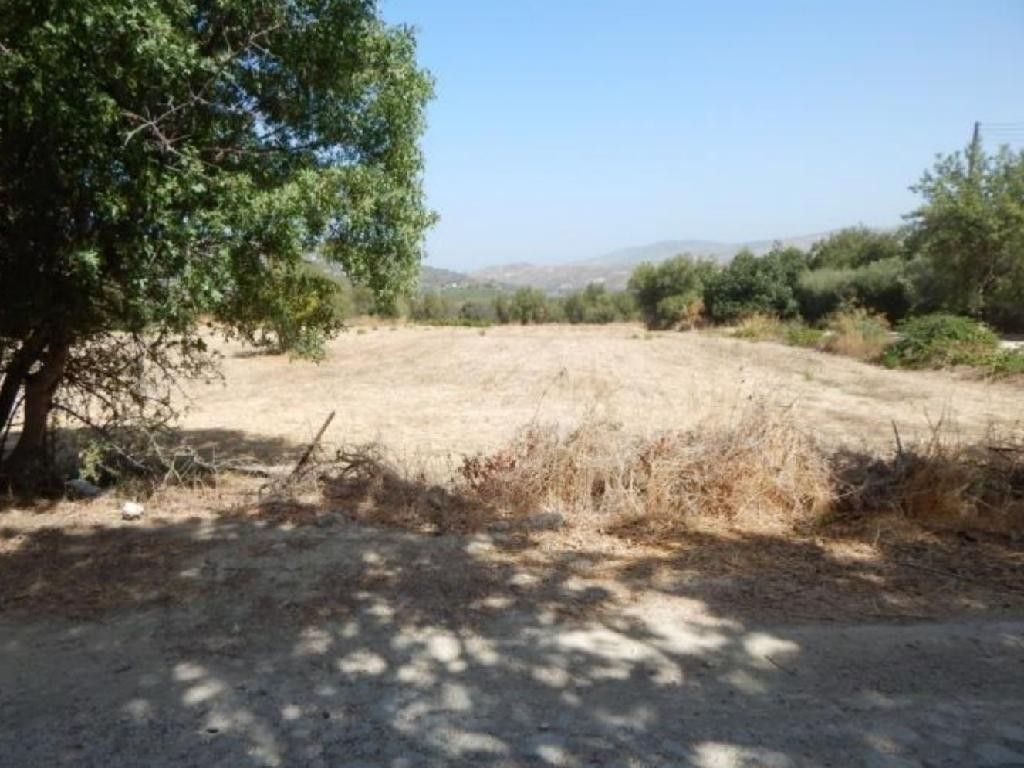Land in Paphos, Cyprus, 6 355 sq.m - picture 1