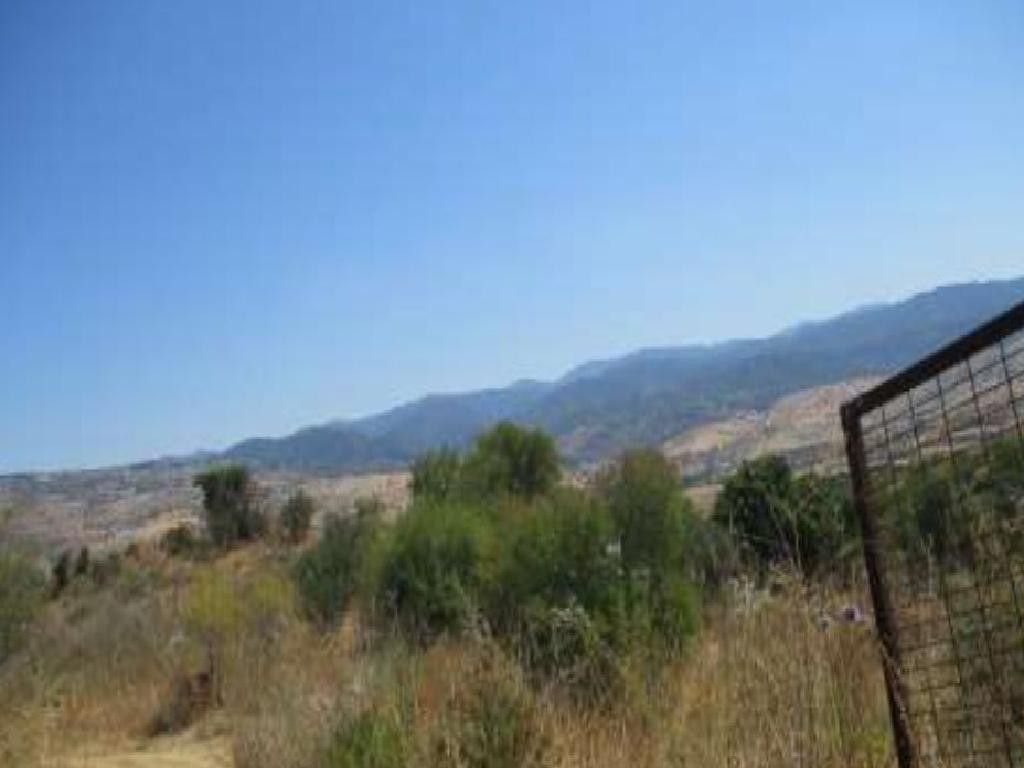 Land in Paphos, Cyprus, 7 358 sq.m - picture 1