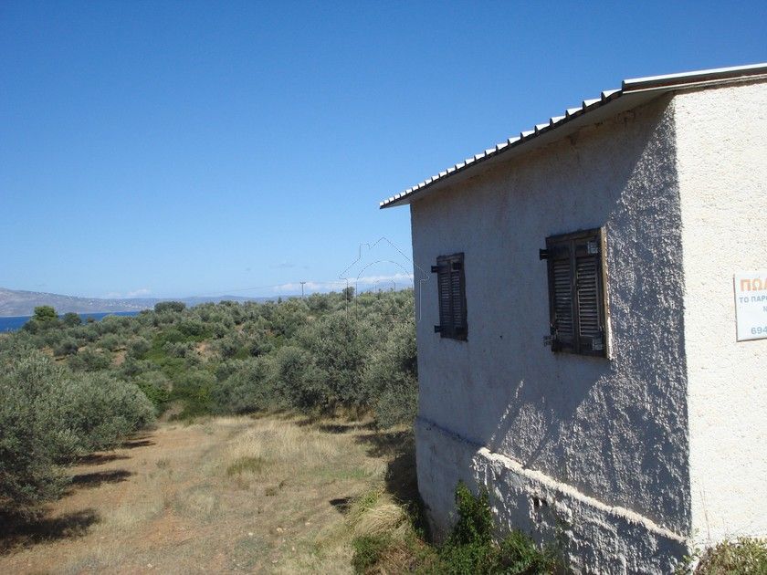 Haus in Attika, Griechenland, 45 m2 - Foto 1