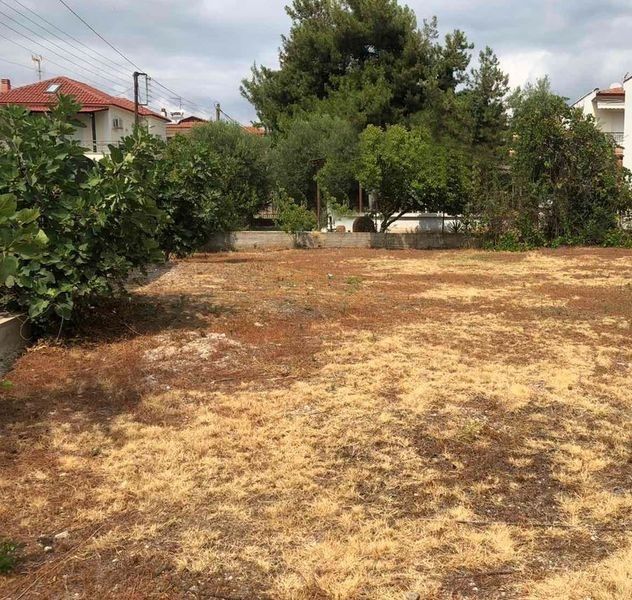 Land in Sithonia, Greece, 570 sq.m - picture 1