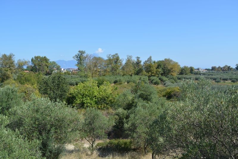 Grundstück in Sithonia, Griechenland, 4 263 m2 - Foto 1